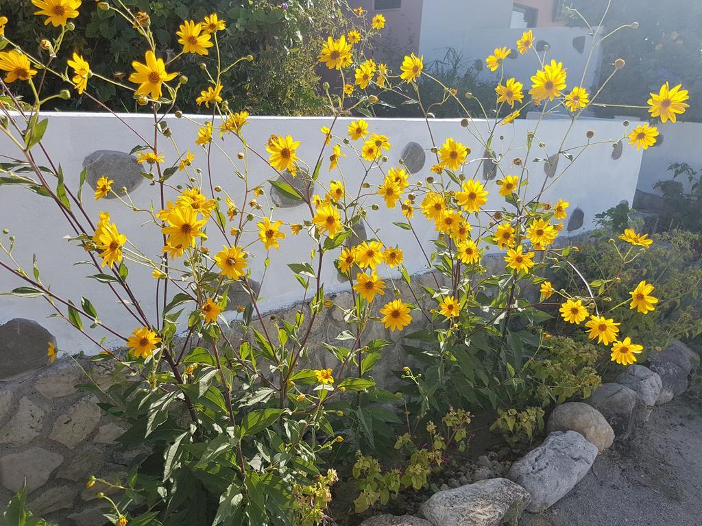 Melina'S Apartments Kalavárda المظهر الخارجي الصورة