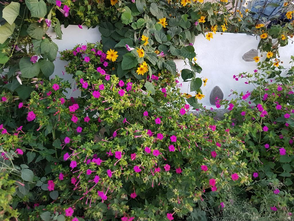 Melina'S Apartments Kalavárda المظهر الخارجي الصورة